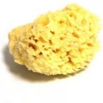 Hydrea Honeycomb Natural Sponge Yellow