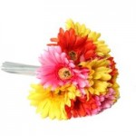 Brights Gerbera Bouquet Red / Pink / Yellow