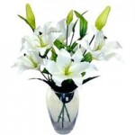 White Lillies in Glass Vase White