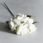 White Glitter Hydrangea White