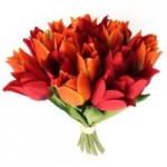 Tulip Bouquet Orange