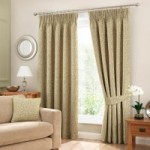 Willow Green Pencil Pleat Curtains Green