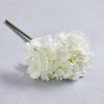 Large Cream Hydrangea Cream (Natural)