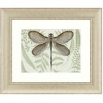 Dorma Dragonfly Framed Print Green / Brown