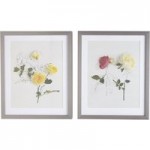 Set of Two Anna Newell Roses Framed Prints Multi Coloured