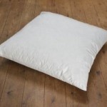 Duck Feather Cushion Pad (67cm x 67cm) White