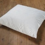 Duck Feather Cushion Pad (72cm x 72cm) White