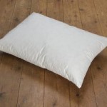 Duck Feather Cushion Pad (62cm x 42cm) White