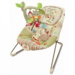 Fisher Price Woodsy Friends Comfy Time Bouncer Green