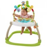 Fisher Price Rainforest Friends Spacesaver Jumperoo NA