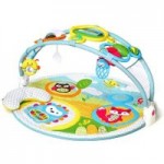 Skip Hop Explore and More Amazing Arch Activity Gym Red/Blue/Green/Yellow