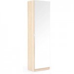 Small Mirrored Shoe Cabinet Brown