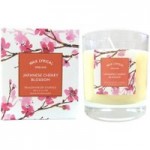 Wax Lyrical Destinations Japanese Cherry Blossom Candle Pink