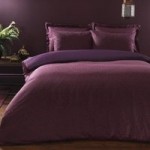 Jayda Purple Duvet Cover and Pillowcase Set Purple