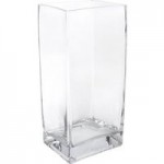 Clear Tank Vase Clear