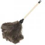 Feather Duster Natural