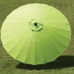 Norfolk Leisure Geisha Lime 2.7m Parasol Green