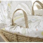 Clair de Lune Tippy Toes Palm Moses Basket White