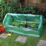 Kingfisher Open Sided Greenhouse Green