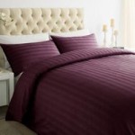 Xquisite Home Luxury 250 Thread Count Cotton Stripe Plum Duvet Cover and Pillowcase Set Purple