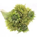 Premium Artificial Dried Dahlia Bouquet Green