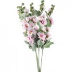 Pack of 5 Pink Holly Hock Stems Pink