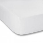 Bianca Cotton Plain Dye 200 Thread Count White Fitted Sheet White