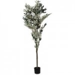 Premium 180cm Olive Tree Green