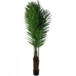 Premium 180cm Areca Palm Green