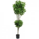 Premium 120cm English Bay Topiary Green