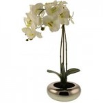 Real Touch 60cm Cream Orchid in Silver Pot Cream