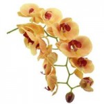 Pack of 3 Peach Real Touch 97cm Orchid Spray Peach