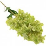 Pack of 3 Green Mountain Hydrangea 83cm Stem Green