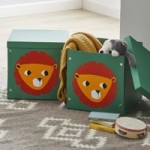 Jungle Friends Lion Set of 2 Cardboard Boxes Orange