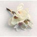 Cream Magnolia Pussy Willow Bundle Cream