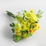 Yellow Primula and Narcissi Bundle Yellow