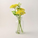 Queen Anne’s Lace Green Vase Green