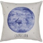 Zodiac Capricorn Cushion Green