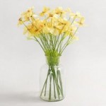 Pack of 12 Pale Yellow Cosmos Sprays Pale Yellow