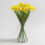 Pack of 12 Yellow Daffodil Spray Yellow