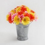 Pack of 6 Multicolour Gerbera Bouquets NA
