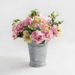 Pack of 6 Pink Rose and Eucalyptus Pink