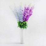 Pack of 12 Delphinium Blue/Purple