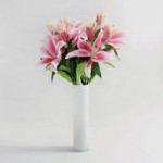 Pack of 12 Pink Tiger Lily Pink