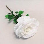 Pack of 12 Cream Glitter Roses White