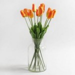 Pack of 12 Orange Tulip Stems Orange