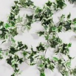 Pack of 6 Holland Ivy Garland Green