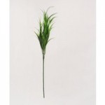 Pack of 24 Green Vanilla Grass Green