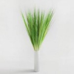 Pack of 24 Onion Grass Green