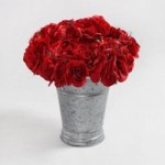 Pack of 6 Red Rose Bouquets Red